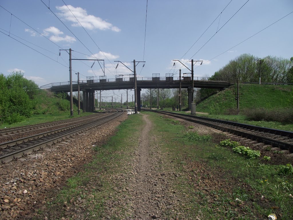 мост трассы на Кировоград