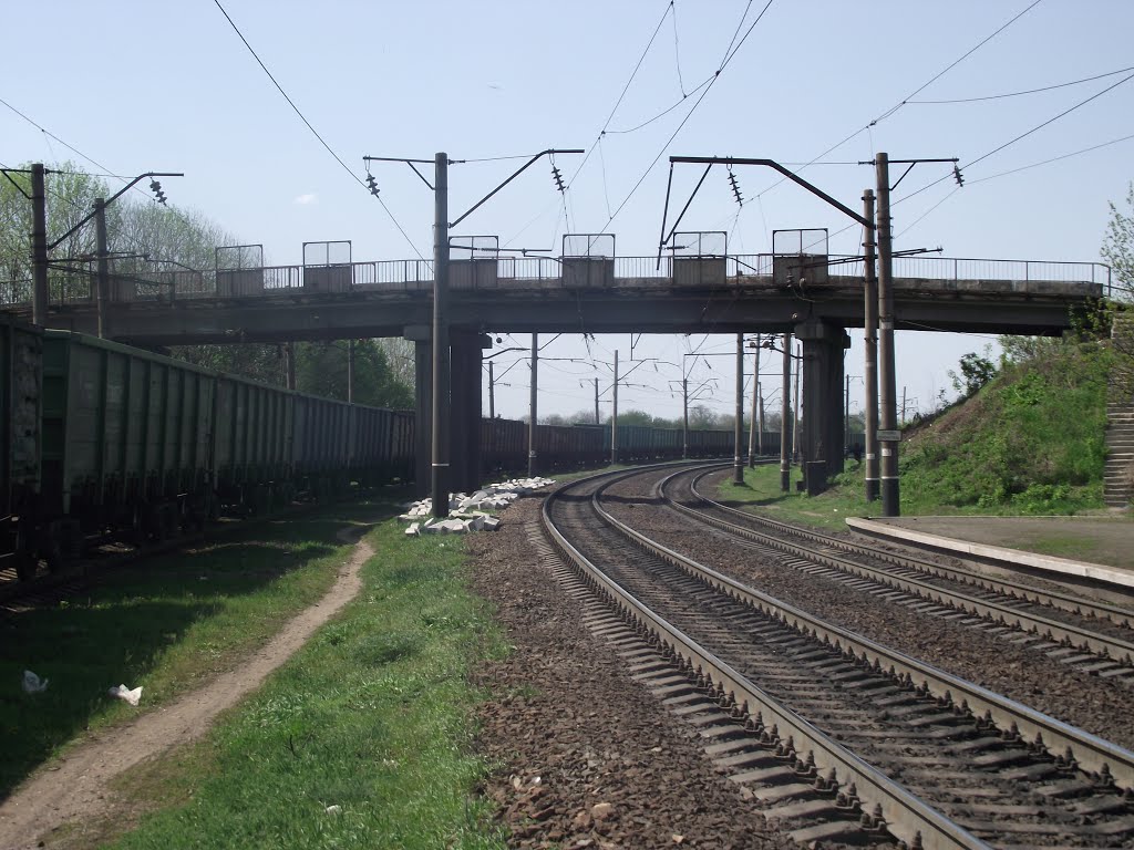 автодорожный мост