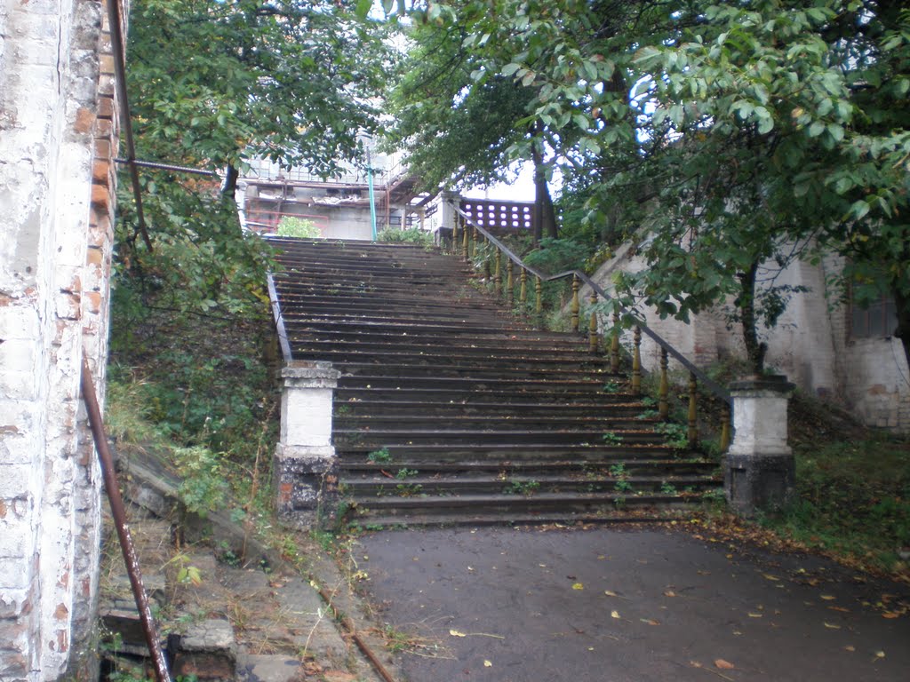 пгт.Капитановка,сахарный завод,старинная лестница