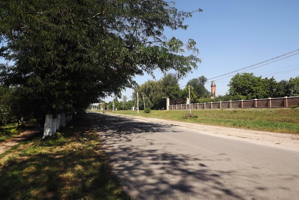 Вулиця Постишева
