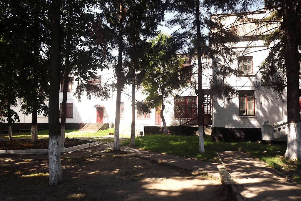На подвірї училища