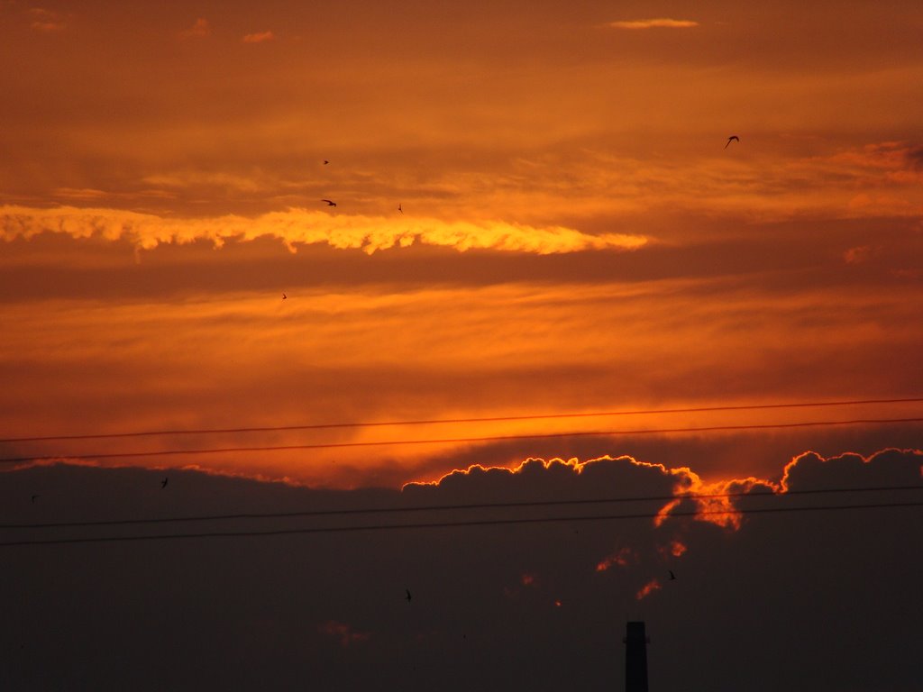 Захід сонця над Зіркою (заводом) / Sunset above a factory
