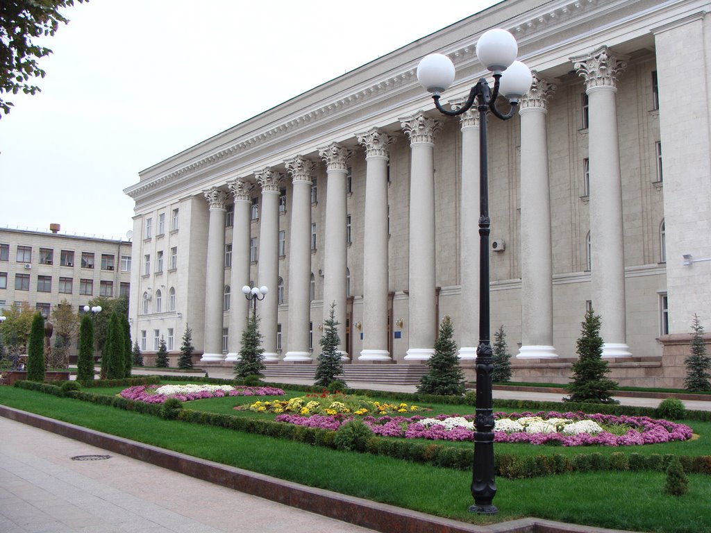 Оновлені клумби перед Міською Радою