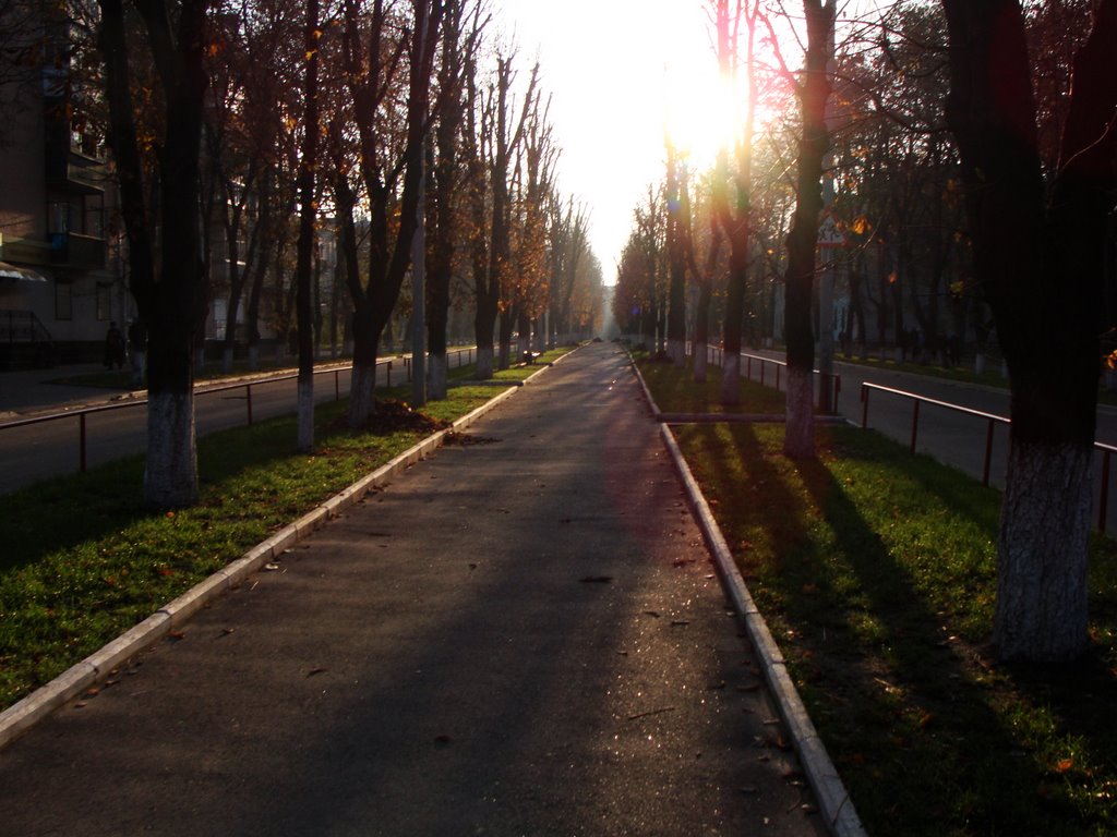 Комуністечне "авеню", ранок
