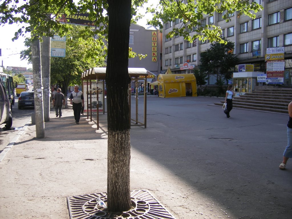 Goctunuca Kiev, Centr