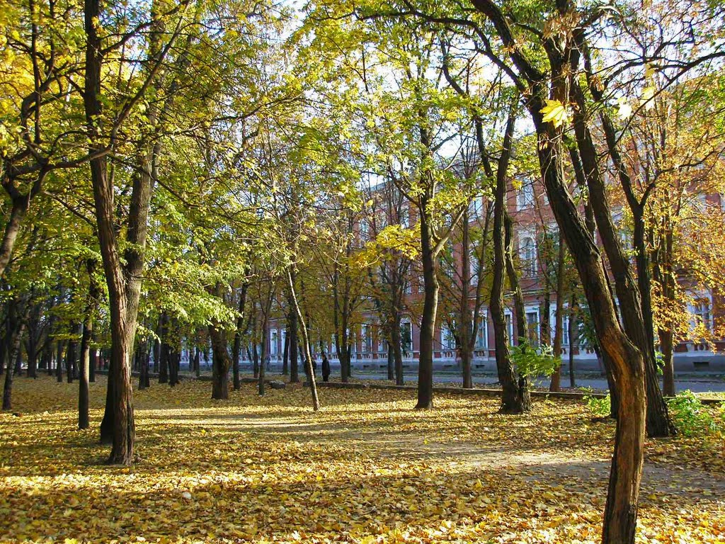 Центральна Україна || Кіровоград || Ковалівський парк
