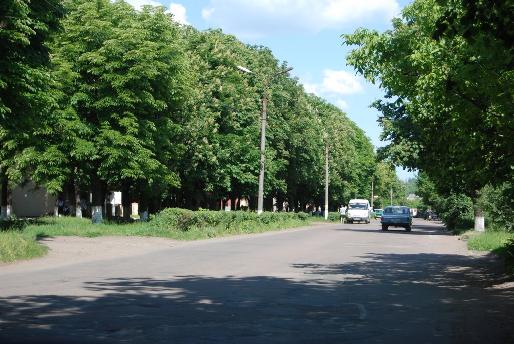 главная улица города