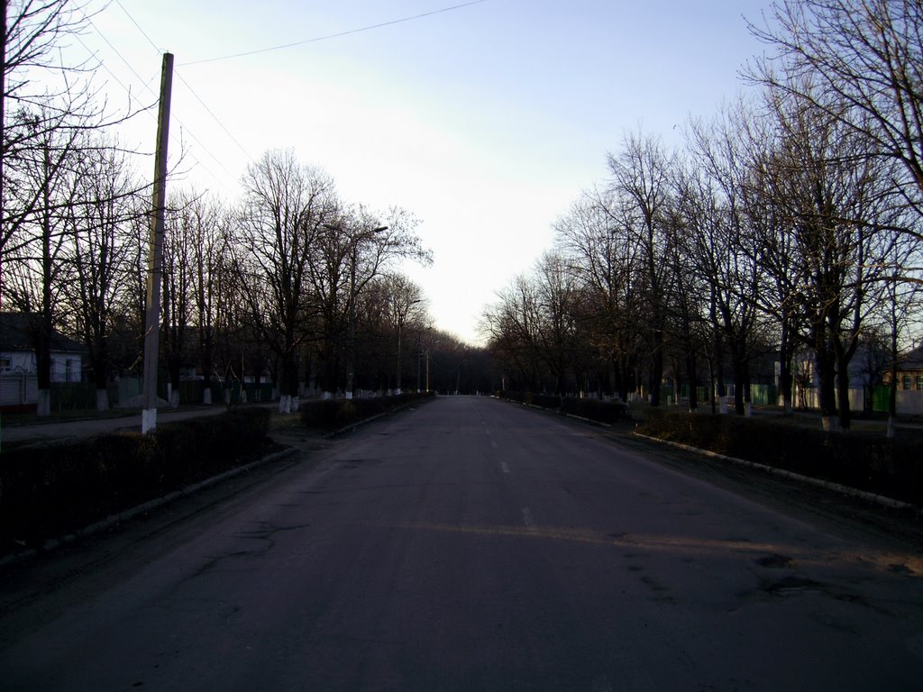 Головна вулиця міста (Біля будинку Саніча)
