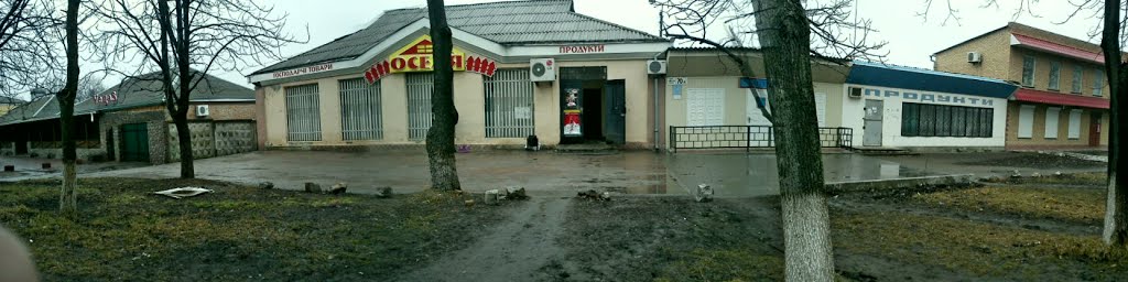 Панорама. Март 2013 года.