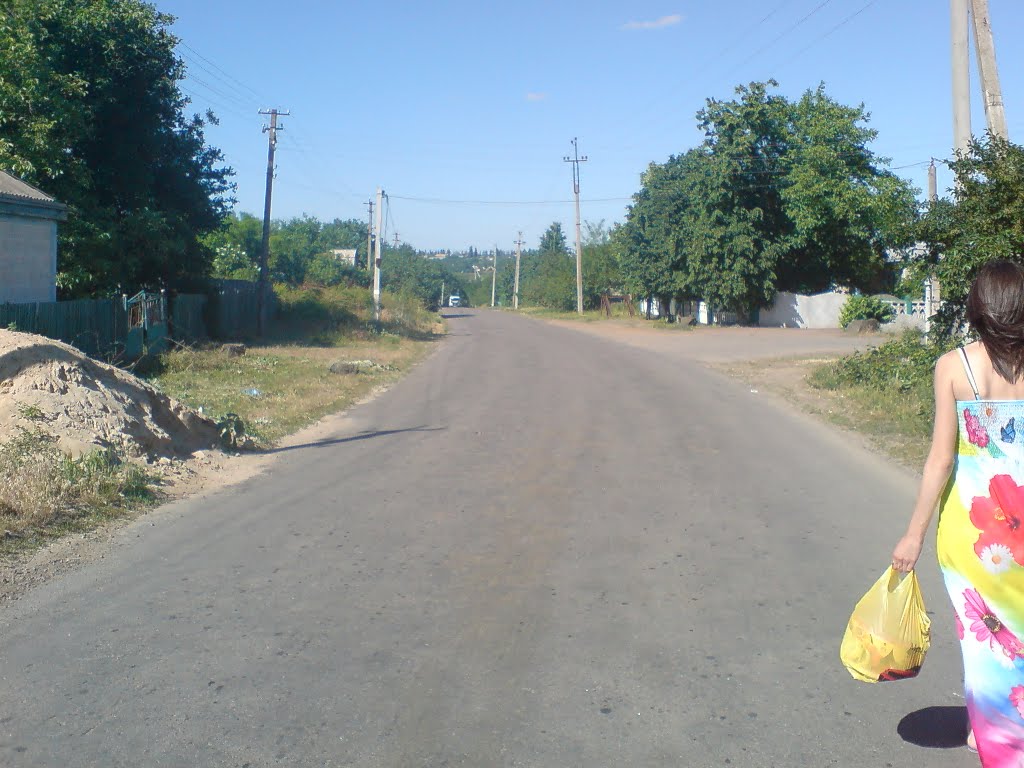 вул. Чкалова