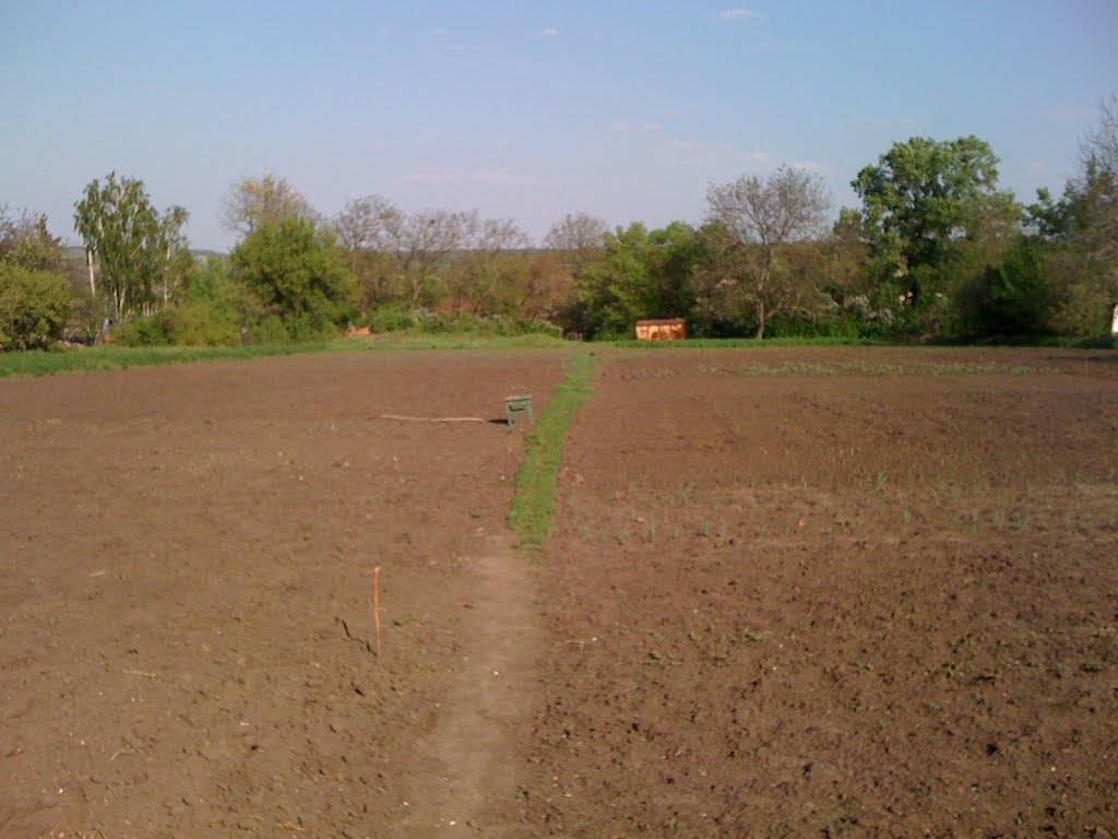 город