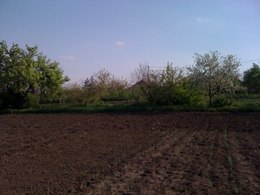 город