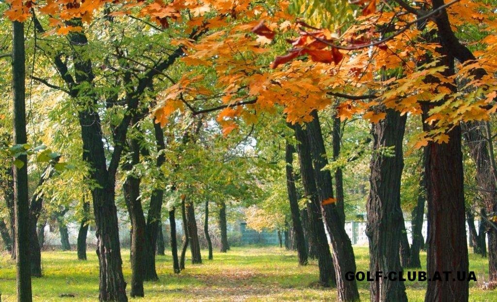 City park (so beautifull)