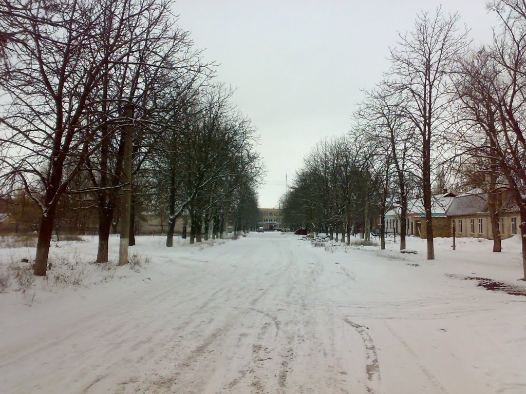 Вулиця Поповкіна