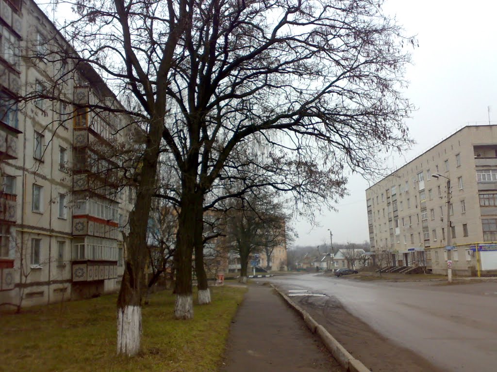 Вулиця Карла Маркса