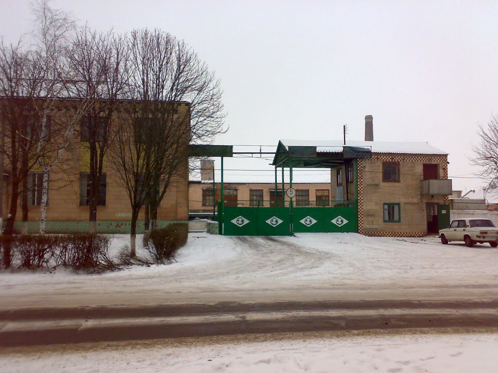 Novomyrhorod Cannery