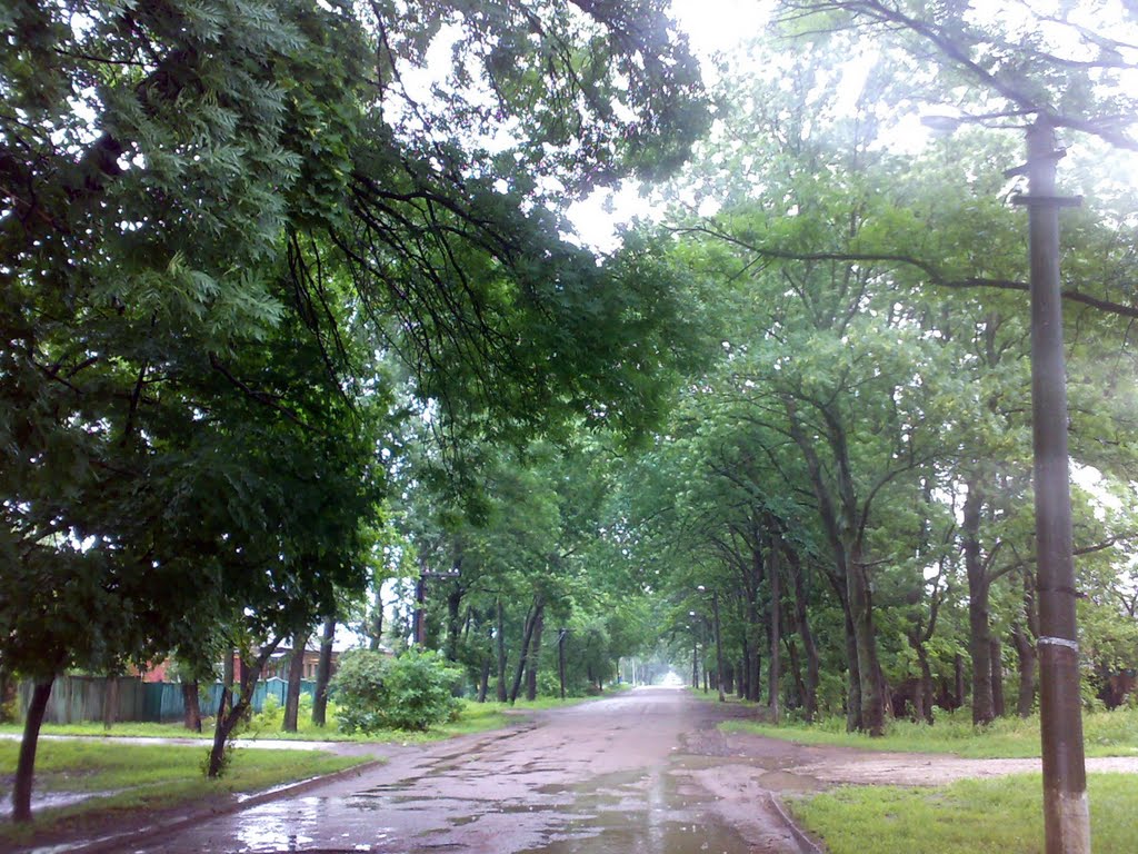Вулиця Горького