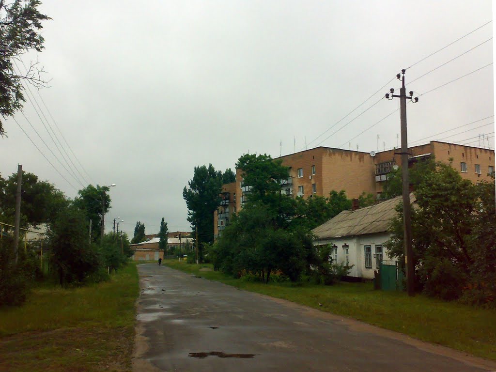 Вулиця Лесі Українки