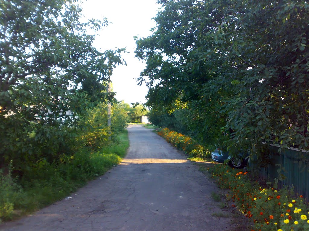 Провулок Банний