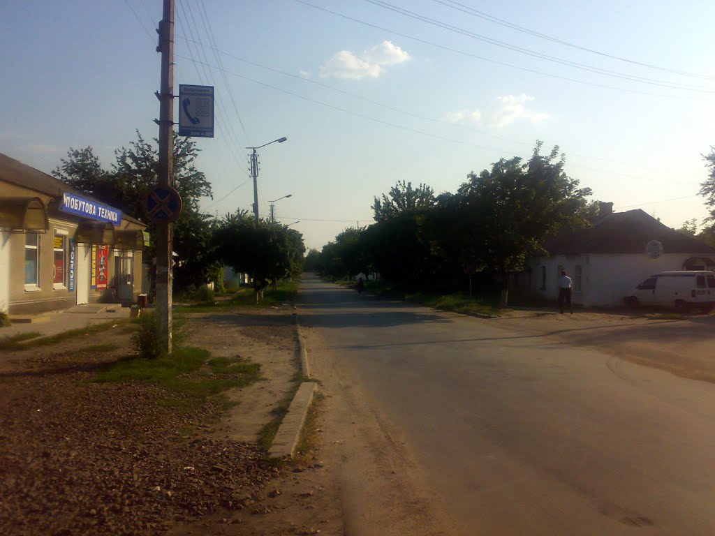 Вулиця Євгенія Присяжного
