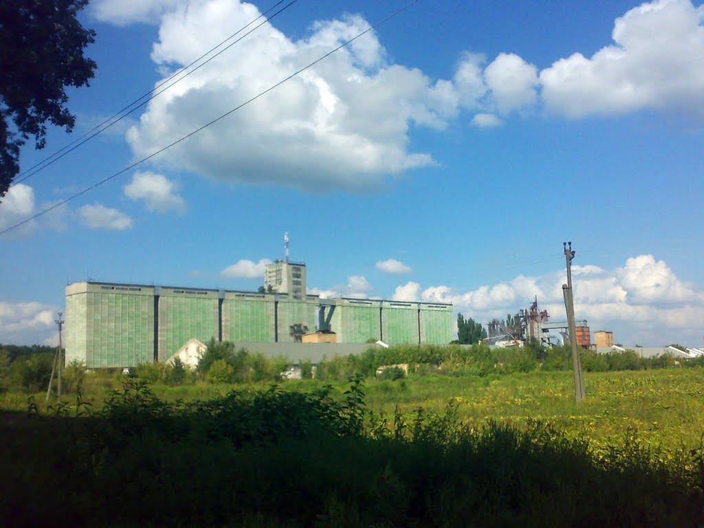 Елеватор