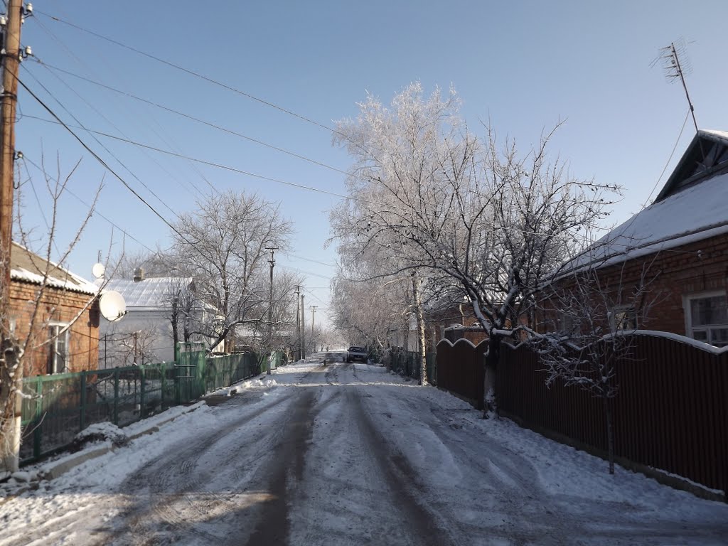 Вулиця Маланюка