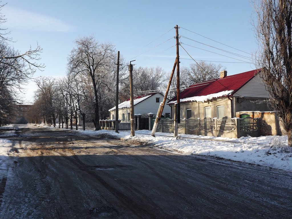 Вулиця Поповкіна