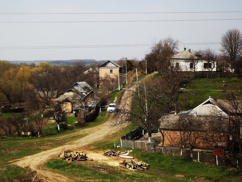 Вулиця Виноградівська