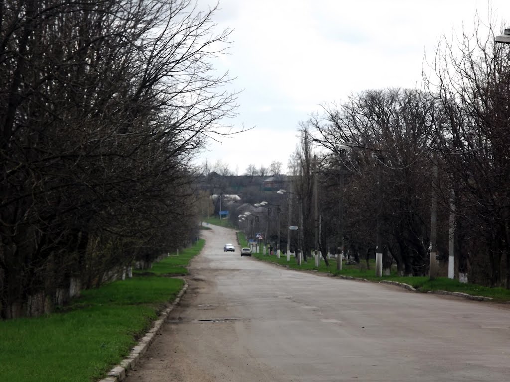 Вулиця Центральна