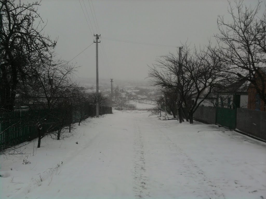 Зима 2009