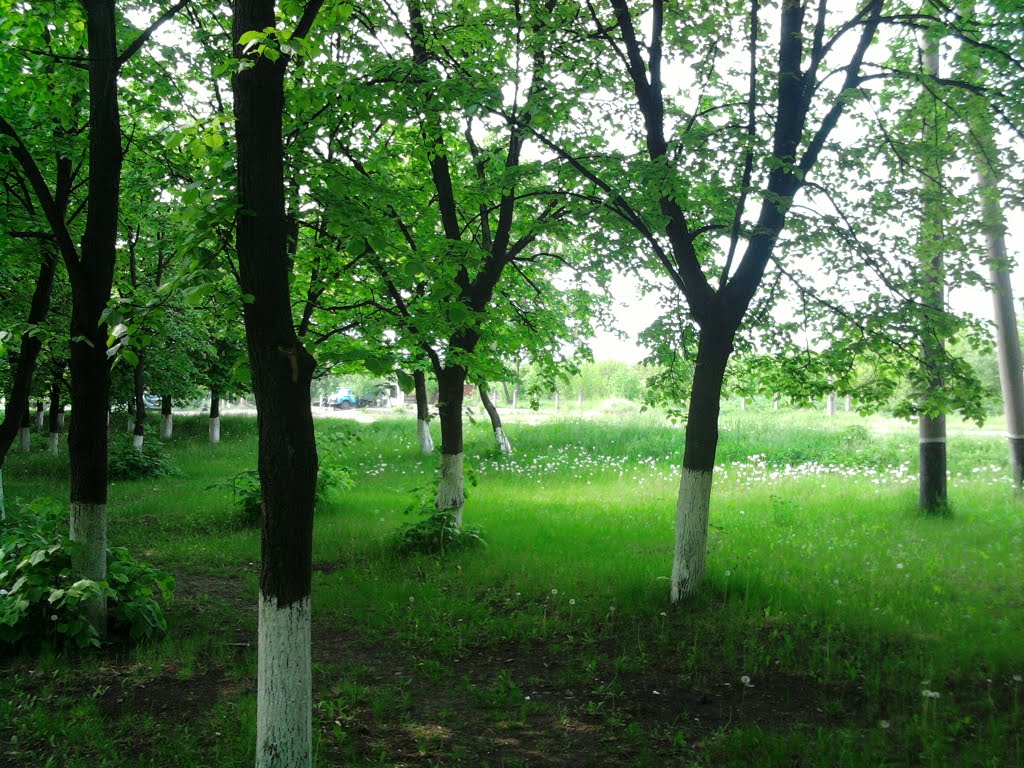 Весна