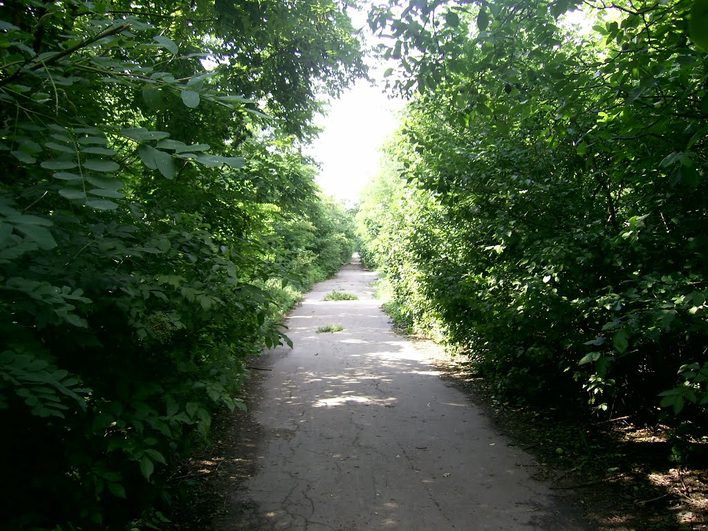 Колись тут було село