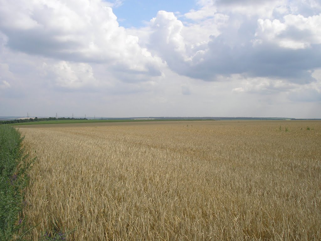 Придніпровська височина