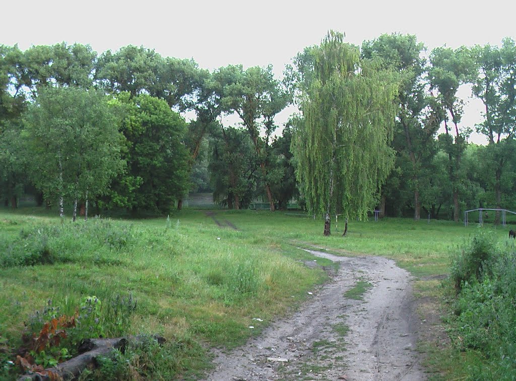 Дорога до острова