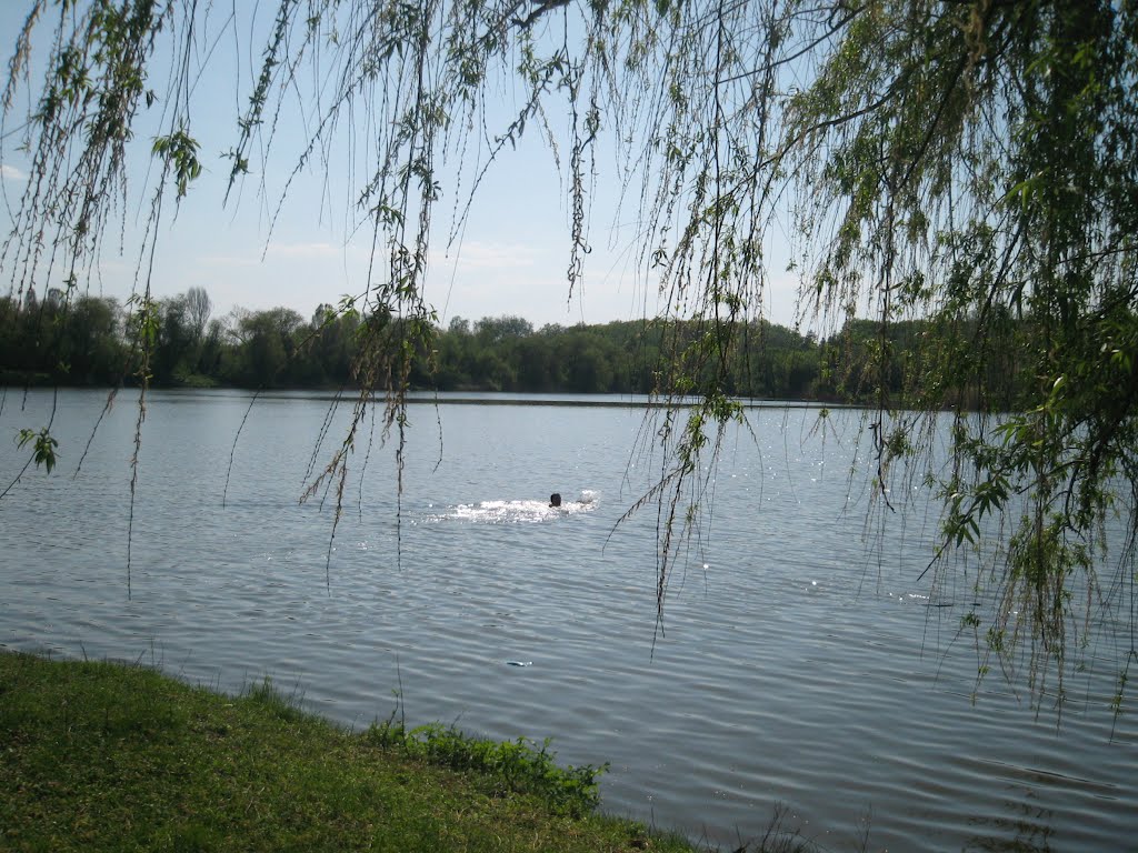 Купання на весні