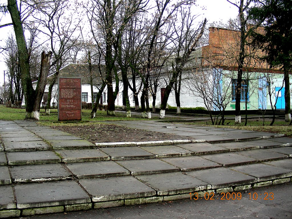 Библиотека