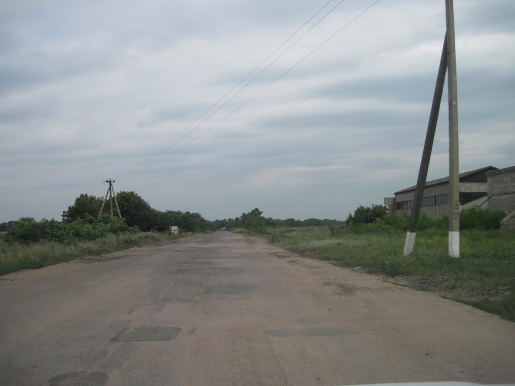 Дорога в Александрию(остатки)