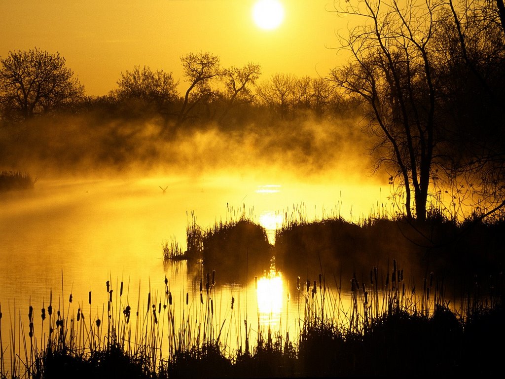 Светловодск