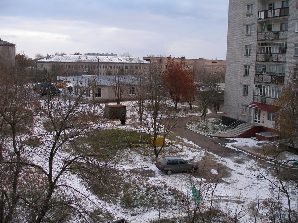 Вид на больницу