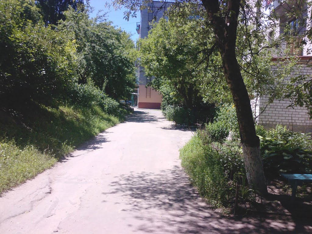 Улциа Ленина