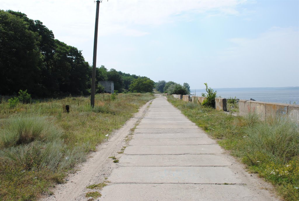 Дорога