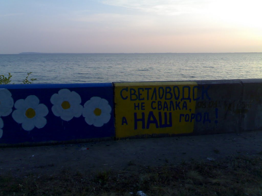 Светловодск не свалка!