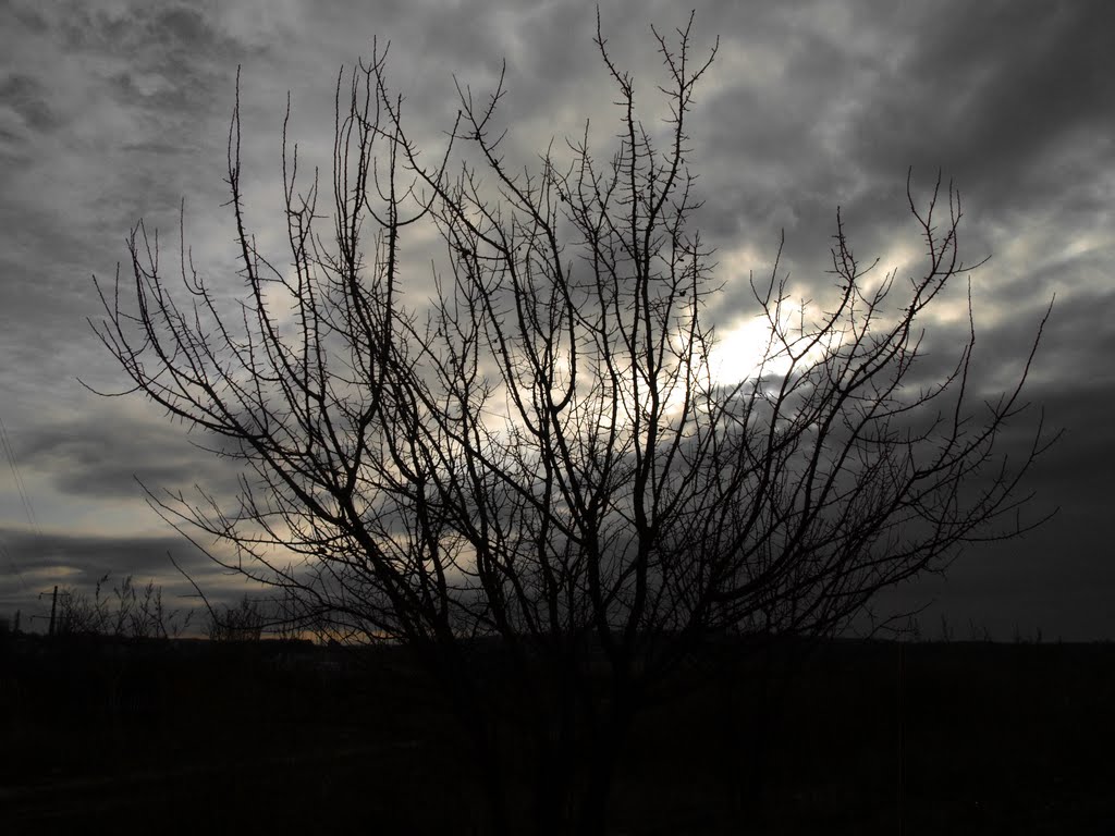 Светловодск. Такая зима. 2012-01-02