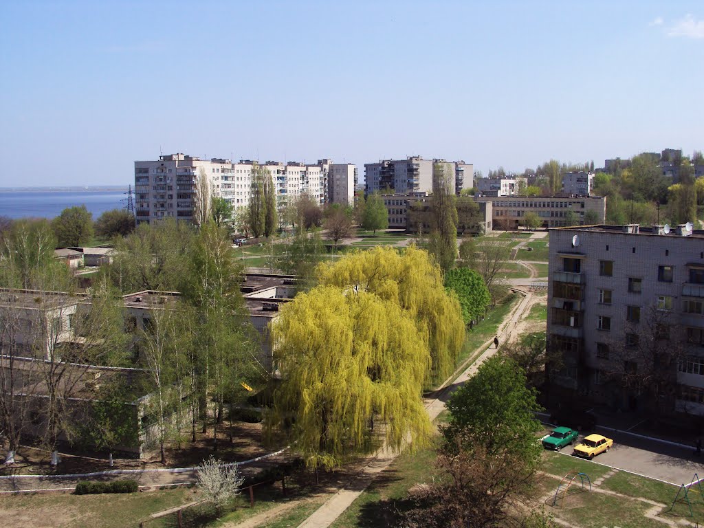7 школа