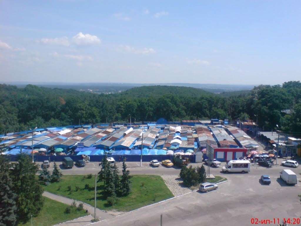 От рынка вниз