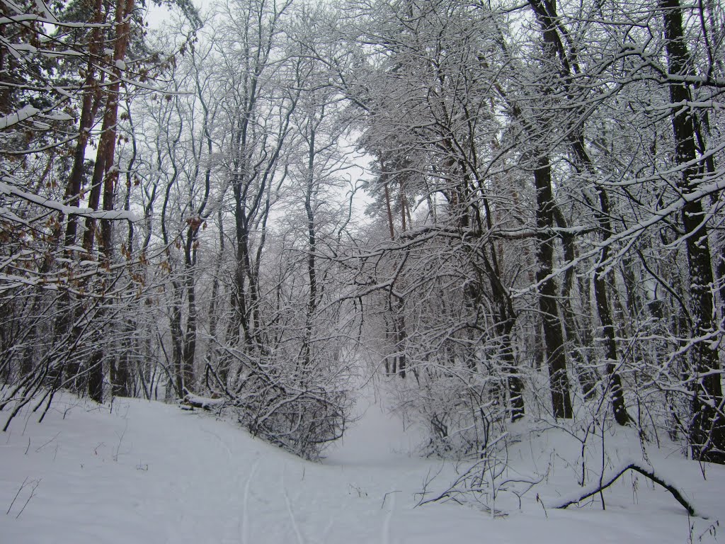 Зима 2013