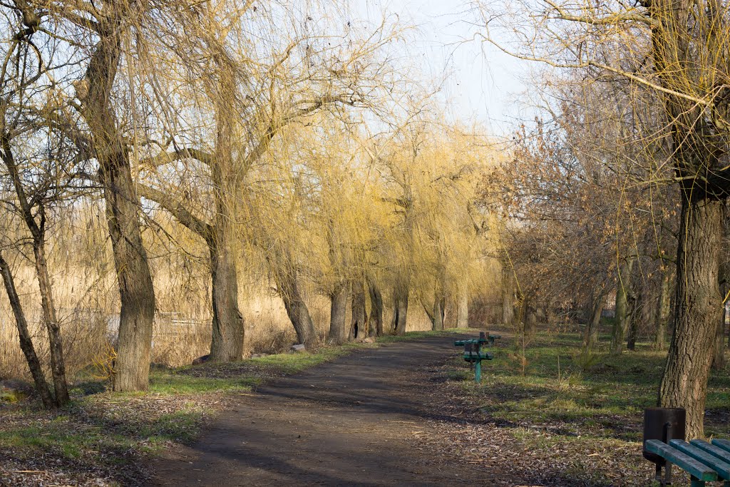 парк г. Ульяновка