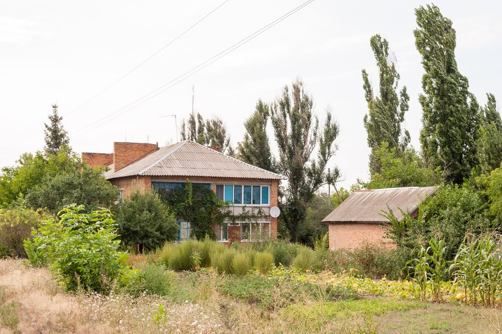 Residential Building (Житловий будинок)