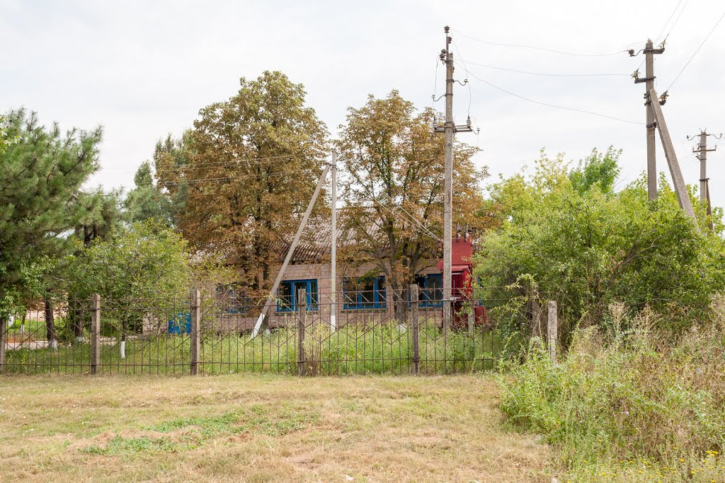 Poultry Station (Птахівницька станція)