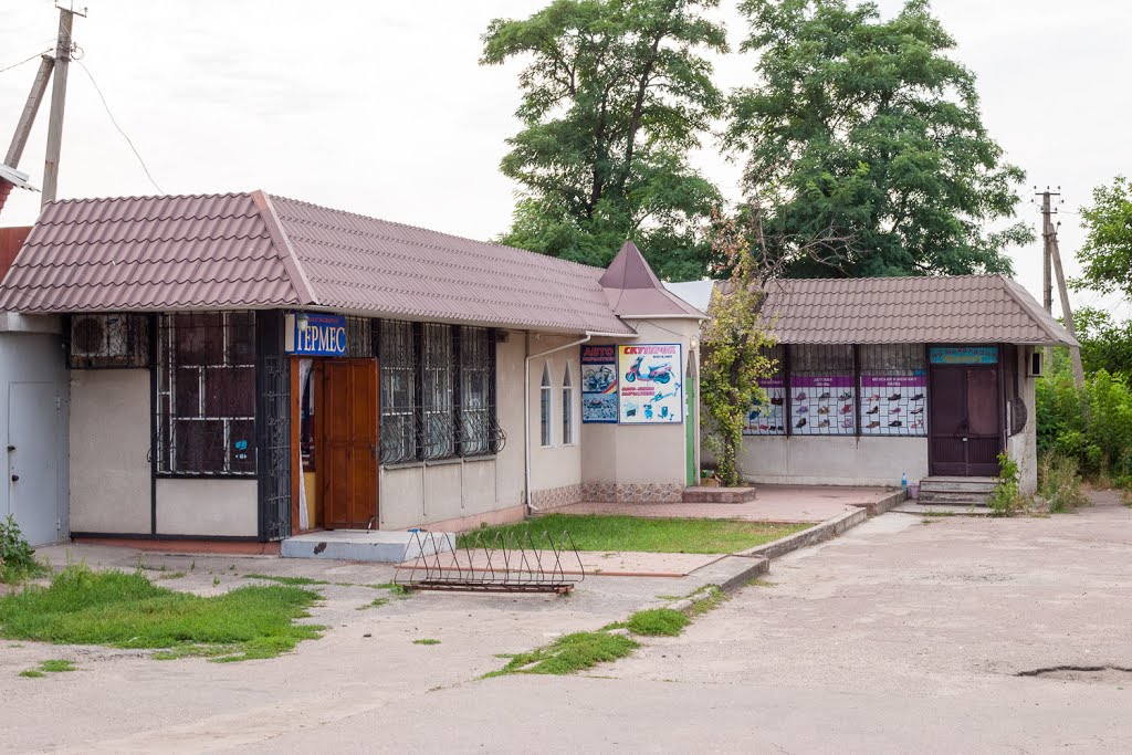 Ustynivka
